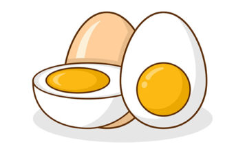 계란 달걀 차이, 알의 기준이 있을까? 계란 달걀 차이, 알의 기준이 있을까?