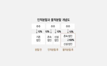 인적분할 물적분할, 개미 뒤통수 치는 쪽은? 인적분할 물적분할, 개미 뒤통수 치는 쪽은?