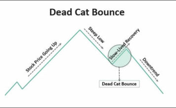 데드 캣 바운스, 왜 물리면 죽을까? 데드캣 바운스, 왜 물리면 죽을까?