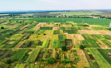 1필지 몇 평, 등록 기준 6가지는? 1필지, 몇 평, 필지 면적, 필지 등록 조건, 6가지 요건, 지적공부, 지적법, 지번, 지목, 땅 모양
