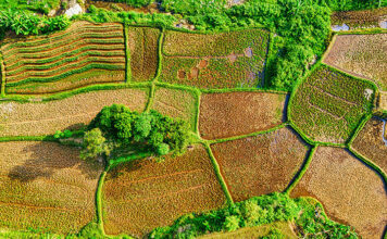 맹지 탈출, 3가지(매입•설득•대여) 방법은? 맹지 탈출, 3가지(매입•설득•대여) 방법은?