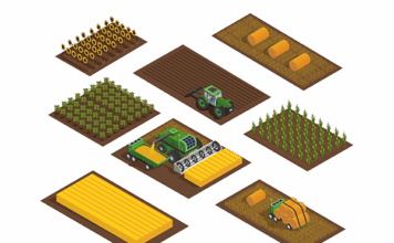 논 밭 차이, 더 비싼 땅은? 논밭 차이, 경작지 구분, 작물 종류, 물 사용법, 농경 환경