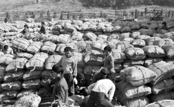 쌀 1섬, 성인 남자가 들 수 있을까? 쌀 1섬, 성인 남자가 들 수 있을까?