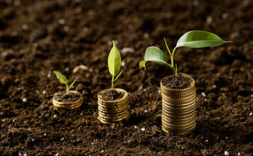 시드머니 뜻, 왜 당장 모아야 할까? 시드머니 뜻, 왜 빨리 1억을 모아야 할까?