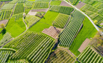 밭 한마지기, 채소 공장으로 충분할까? 밭 한마지기, 채소 공장으로 충분할까?