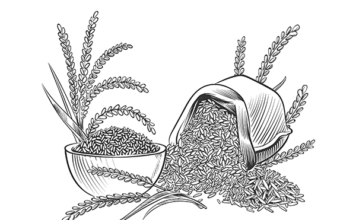 만석꾼 뜻, 얼마나 큰 부자일까? 만석꾼 뜻, 얼마나 큰 부자일까?