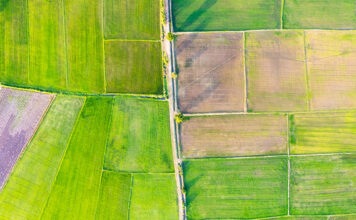 필지 뜻, 묶거나 쪼갤 수 있을까? 필지 뜻, 묶거나 쪼갤 수 있을까?