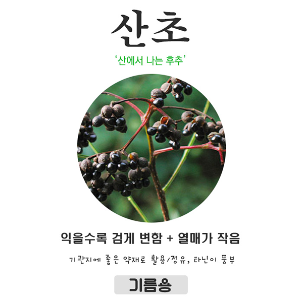 산초 제피 차이, 산에서 구별하는 Tip은? - 라모와