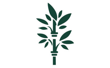 대나무 성장속도, 왜 엄청날까? 대나무 성장속도, 왜 엄청날까?