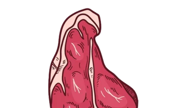 돼지등뼈 핏물빼기, 몇 시간 담가놔야 할까? 돼지등뼈, 감자탕, 뼈 부위, 감자탕 재료, 돼지 부위 설명, 육수용 뼈, 등뼈 위치 설명, 감자탕에 적합한 이유, 기름기 vs 육즙, 부위별 비교