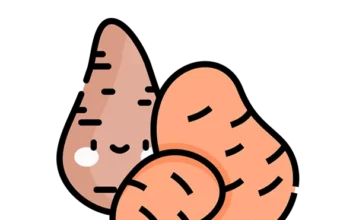 감자 고구마 칼로리&영양소, 당신의 선택은? 감자 고구마 효능 재배지역 요리법 구황작품 이유 변비 예방 천연 면역력 식품