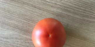 따옴농장 토마토 내돈내산 후기 : 정착해도 될까?