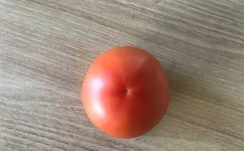 따옴농장 토마토 내돈내산 후기 : 정착해도 될까?