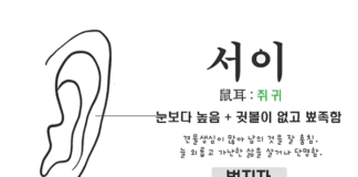 뾰족귀 관상, 왜 도둑질에 능수일까?