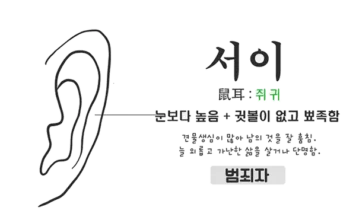 뾰족귀 관상, 왜 도둑질에 능수일까?