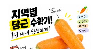 당근 수확 시기, 계절•베타카로틴 효능•맛 차이는?